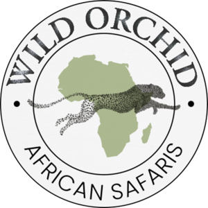 wildorchidsafaris.com