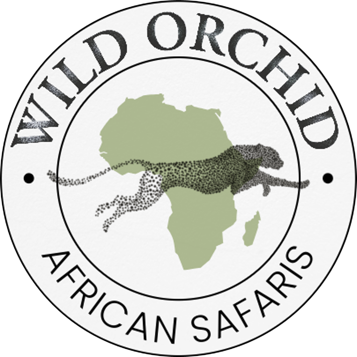 wildorchidsafaris.com